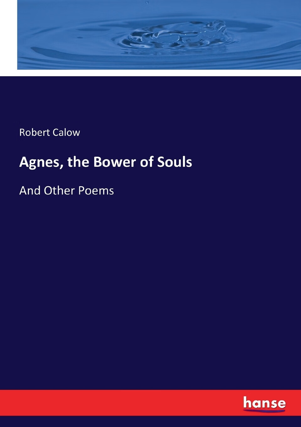 【预售 按需印刷】agnes, the bower of souls