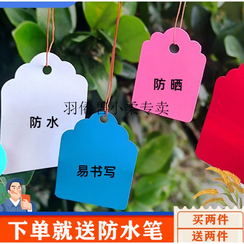 羽俙碧植树节植物认养牌 植树节挂牌植物标签吊牌苗木树木认养牌儿童