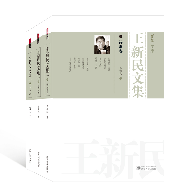 王新民文集(共3册)/芳草文库