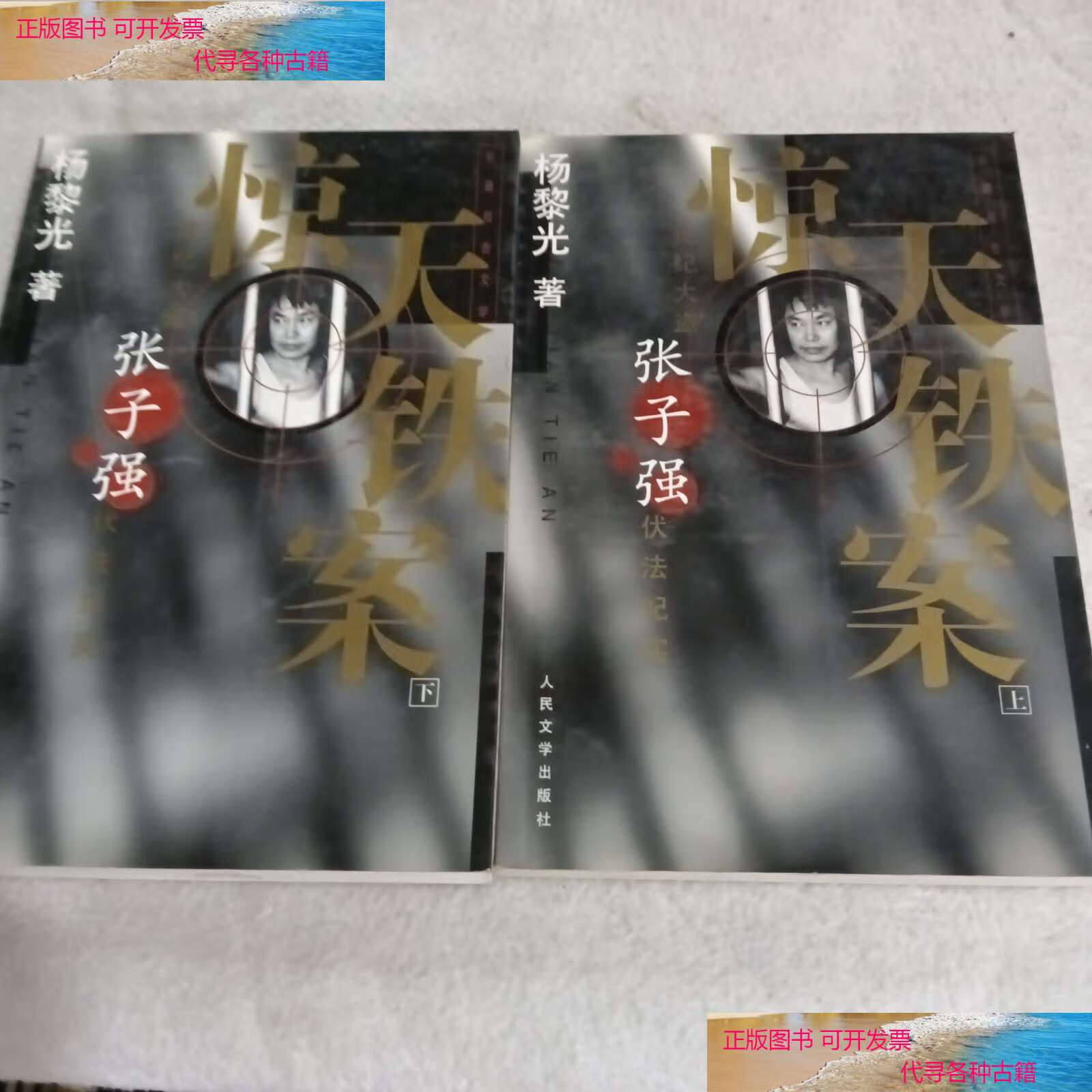 【二手书9成新】惊天铁案(上下) /养黎光
