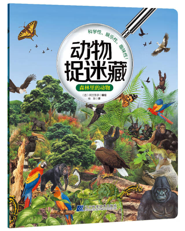 动物捉迷藏 森林里的动物