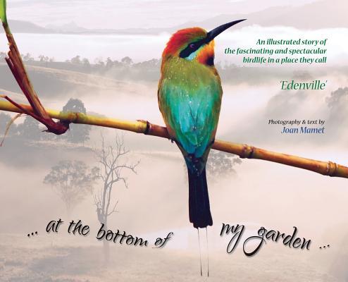 预订at the bottom of my garden: An illustrated story