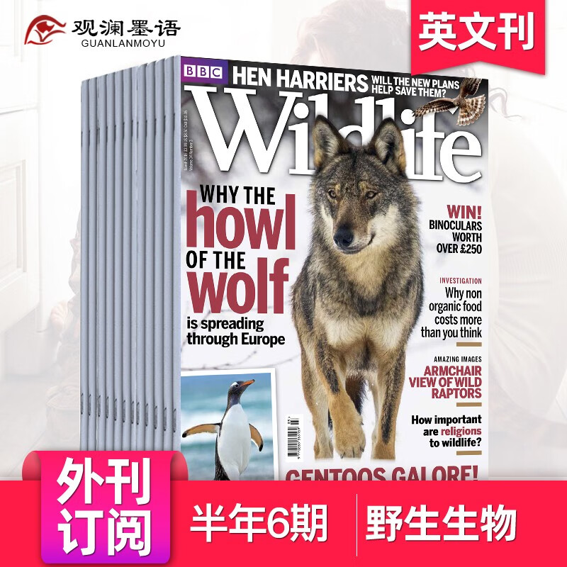 wildlife 野生动物 年订阅12期  英国自然生物动物杂志 半年6期订阅