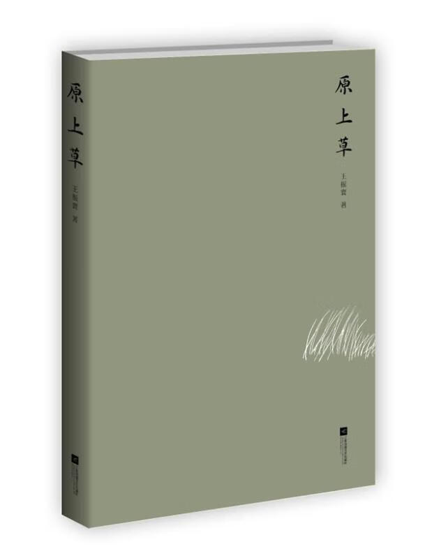 原上草 王振寰 著 9787539971131【正版】