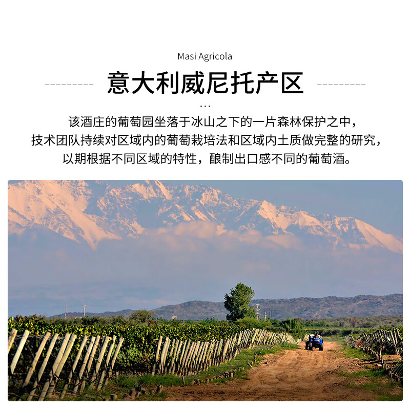 玛希(Masi) 玛西酒庄果园系列葡萄酒 意大利红酒原装进口 月相天使白葡萄酒 750ml
