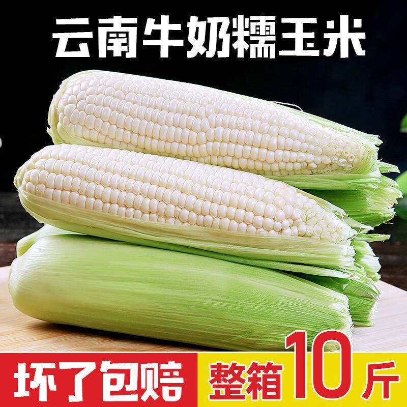 爾蝶玉米 白糯玉米 牛奶白玉米10斤裝裝甜黏玉米棒子粘嫩苞玉米粒農(nóng)家 5斤裝 凈重4.5斤