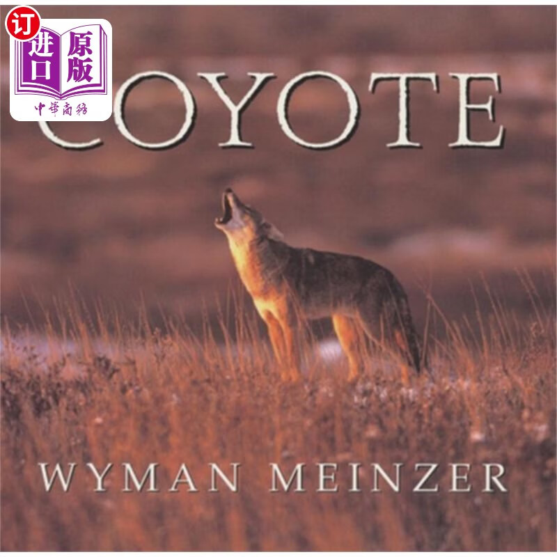 海外直订coyote 土狼