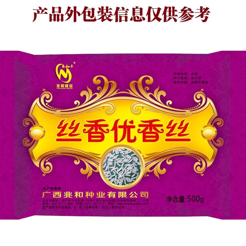 国审一级丝香优香丝苗米水稻种子长粒高产香米抗病早中稻谷晚稻谷 新种丝香优香丝【500克】3袋