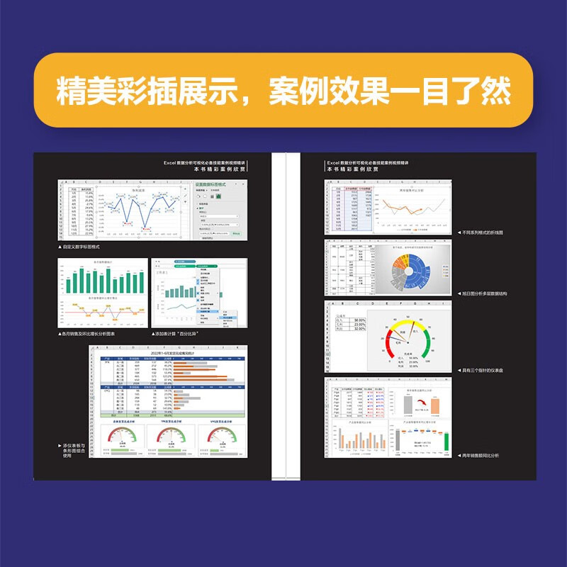 Excel数据分析可视化必备技能案例视频精讲