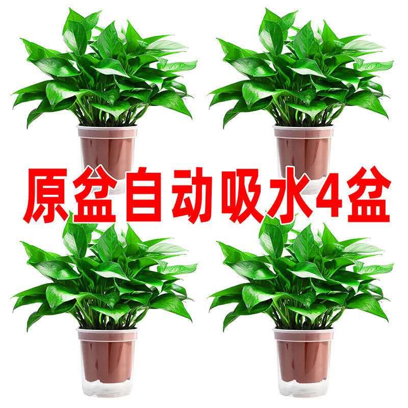 京东超市 2020-11-10 - 第25张 | 最新购物优惠券 京东超市 2020-11-10 - 第25张 | 最新购物优惠券
