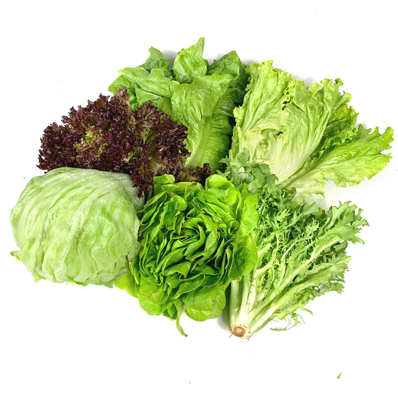 绿食者 沙拉蔬菜组合3.5斤 新鲜苦菊绿叶红叶生菜西餐沙拉健康轻食蔬菜 蔬菜沙拉组合3.5斤【无沙拉酱】