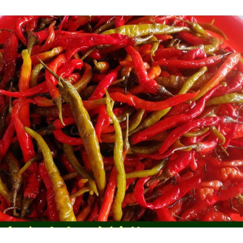 虎钢馋酸辣子湖南湘西怀化沅陵老坛酸辣椒新鲜腌制辣椒