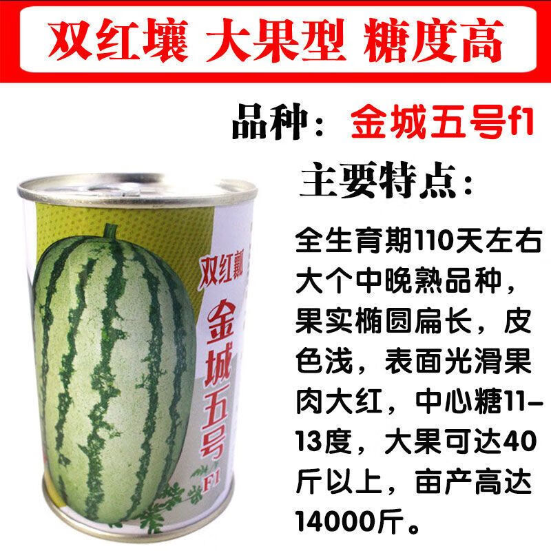 金城5号西瓜种子耐重茬西瓜种早熟甜冠巨型懒汉西瓜种籽四季高产 金城