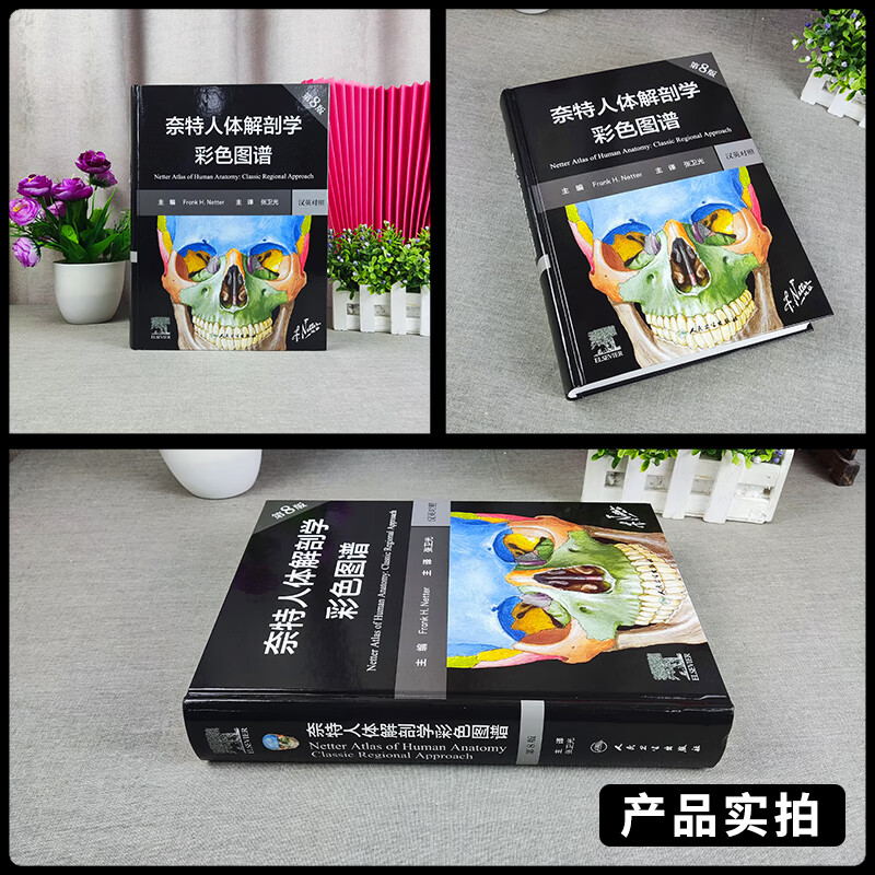 奈特人体解剖学彩色图谱 第八版7双语 临床医学生理学内外科法医局部