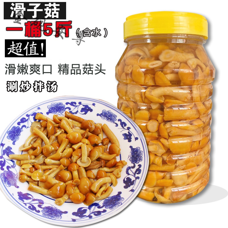 白创唯5斤含水滑子菇 滑菇新鲜滑子蘑 珍珠菇承德特产清水装炒煲汤