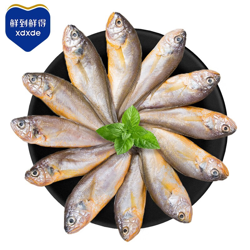 鲜到鲜得 海捕小黄花鱼800g 26-28条 海鲜水产 生鲜 鱼类 健康轻食