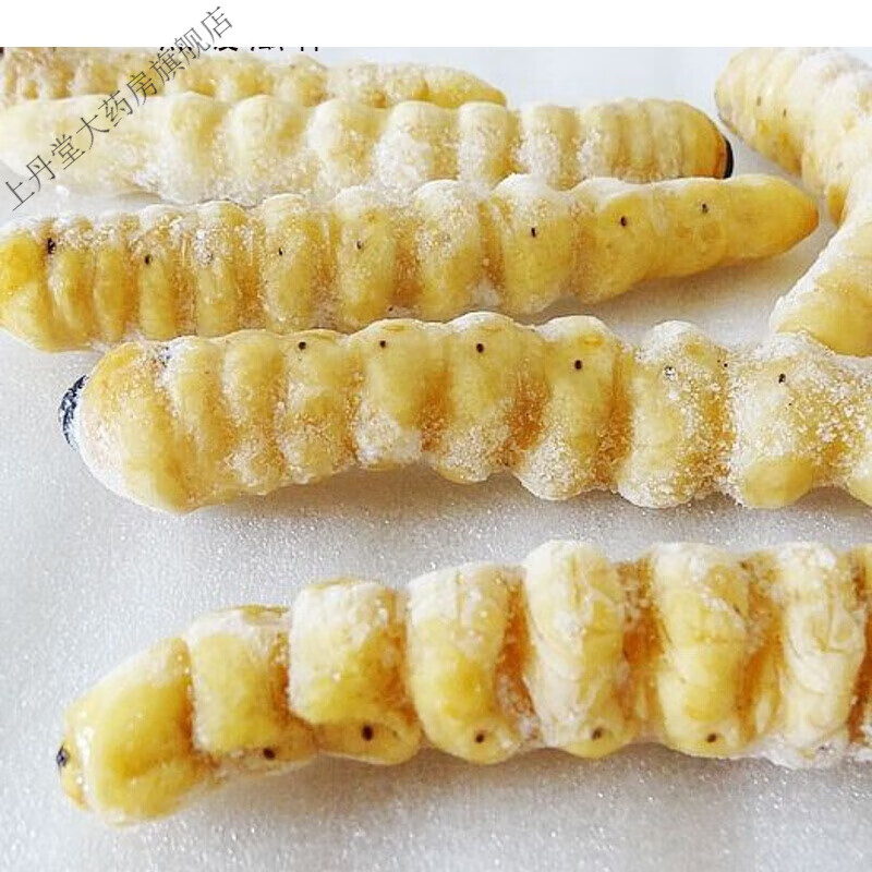 活体速冻哈虫木花柴虫柞天牛荒虫野味 蛤虫1斤 蛤虫1斤