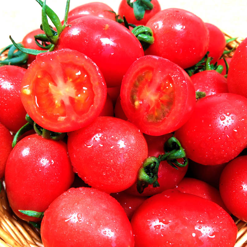 宜享健康一冯农选 圣女果小西红柿千禧樱桃柿子新鲜孕妇水果当季现摘