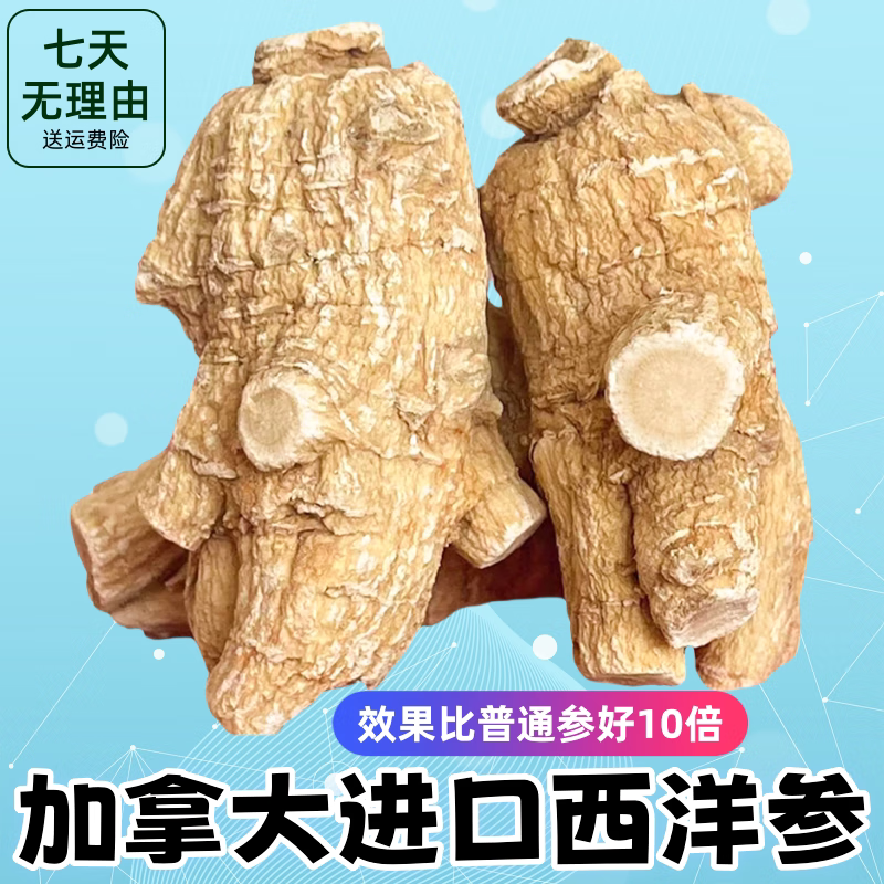 放山官【官方店i旗艦】正宗加拿大西洋參原裝進(jìn)口特級(jí)花旗整根500g切片 12年精選20克粒頭500克（發(fā)整支）
