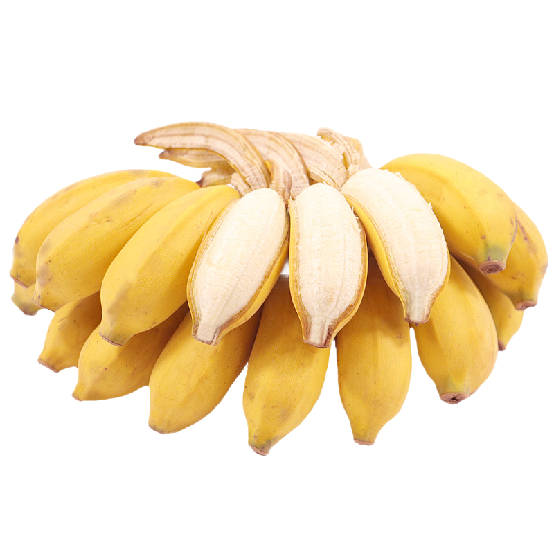 果迎鲜香蕉 新鲜小米蕉 新鲜水果 生鲜 （净重9-9.5斤）生果要催熟