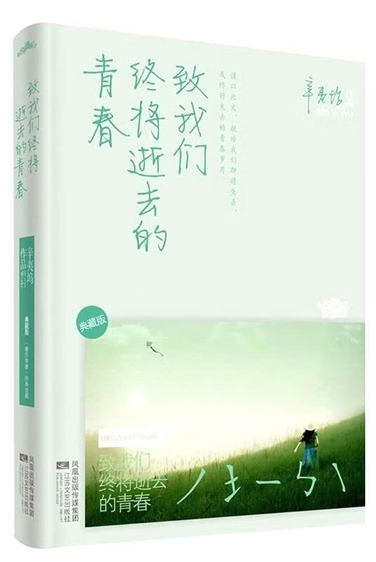 致我们终将逝去的青春·典藏版 辛夷坞 著【正版书】