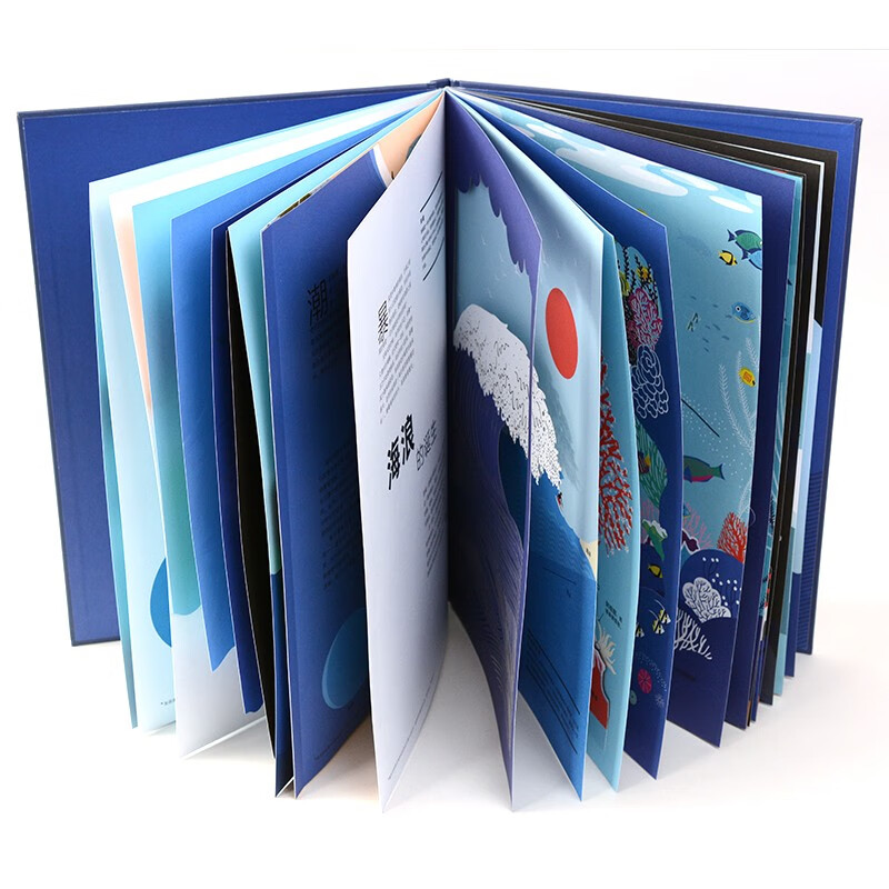 海洋的奥秘（奇想国童书）全景式呈现海洋风貌，包含海洋生物、生态系统，激光镂空、翻翻、拉页和层次设计暑假阅读暑假课外书课外暑假自主阅读暑期假期读物