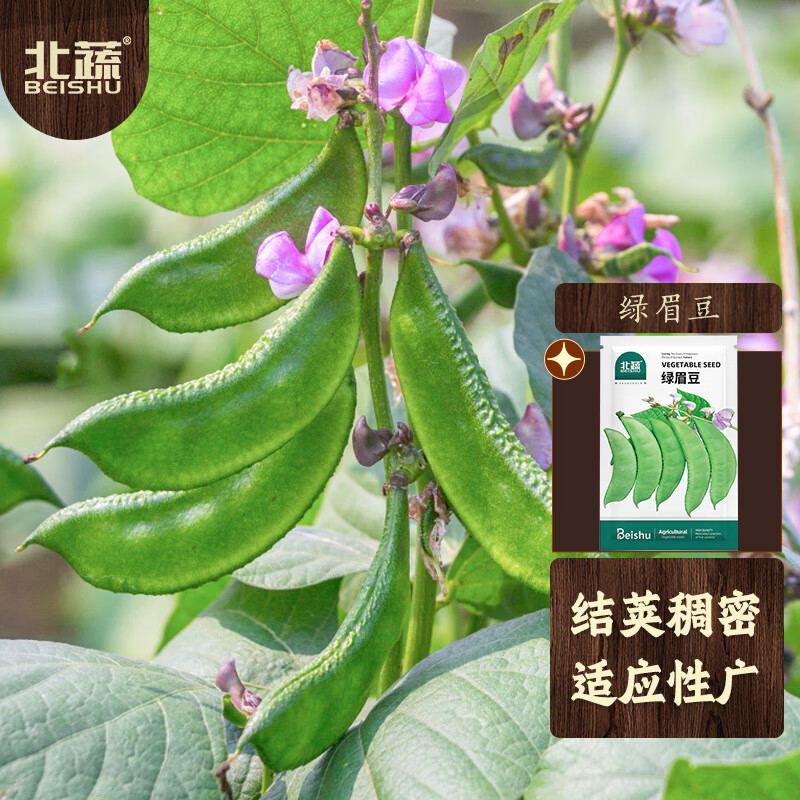 蔬菜类价格波动查询|蔬菜类价格比较