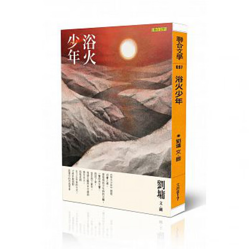 预售 浴火少年 联合文学 台版原版 文学小说