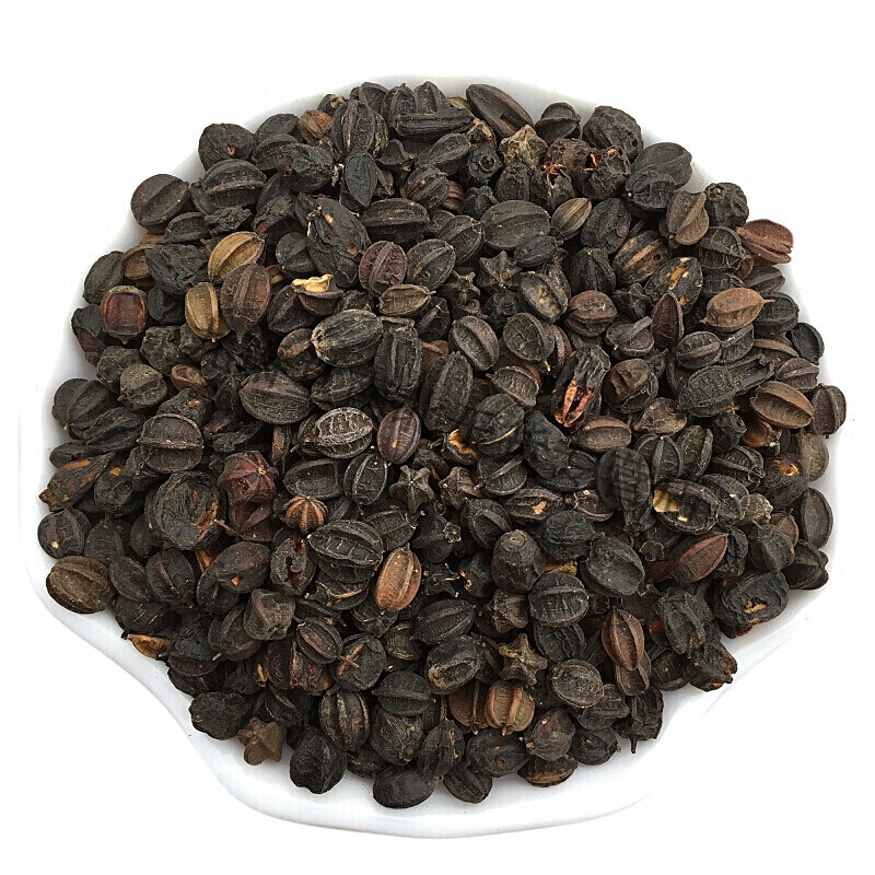 【有仁堂】药食滋补 刺五加籽 500克   刺五加子