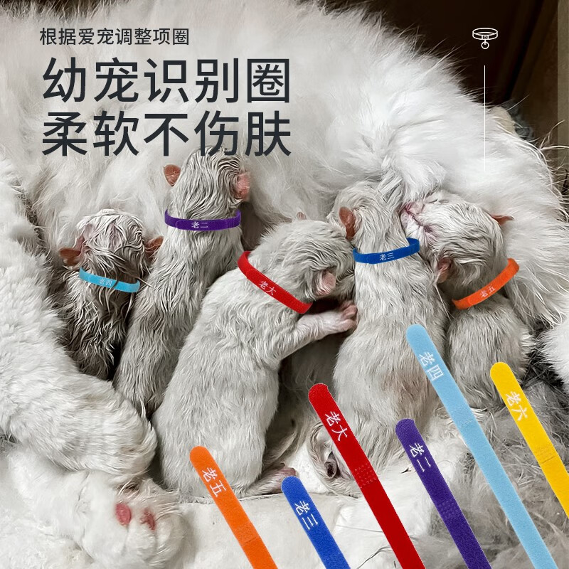 标识带幼猫幼犬区分奶猫咪脖圈标记带狗项圈 10条【印字:老大~老十】