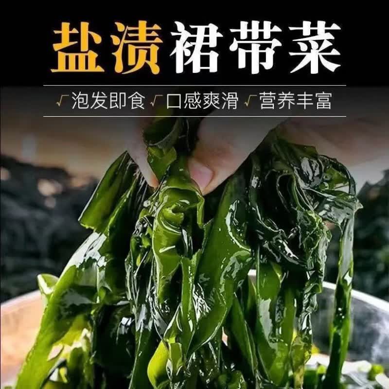 嘉尚酷盐渍裙带菜 大叶裙带菜海带凉拌盐渍嫩海煲煮汤火锅食材 5斤