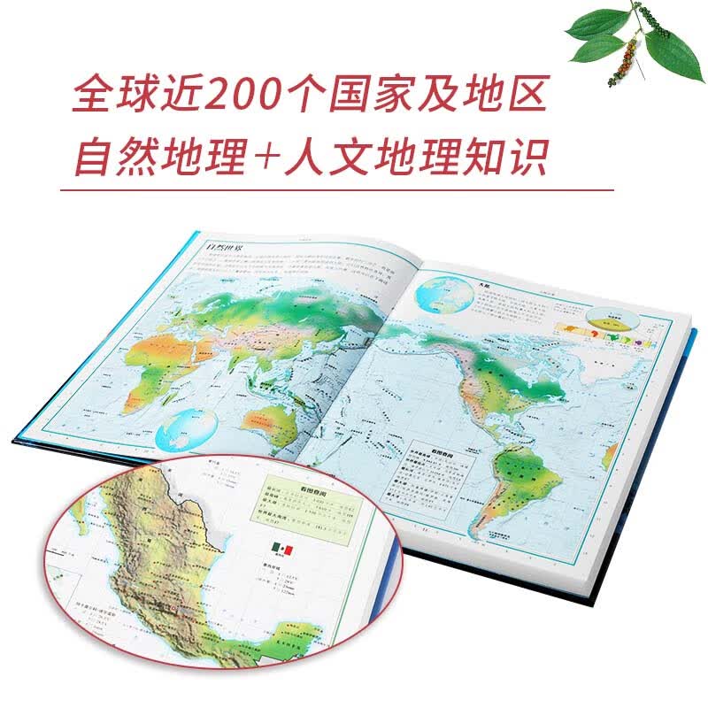 图 3