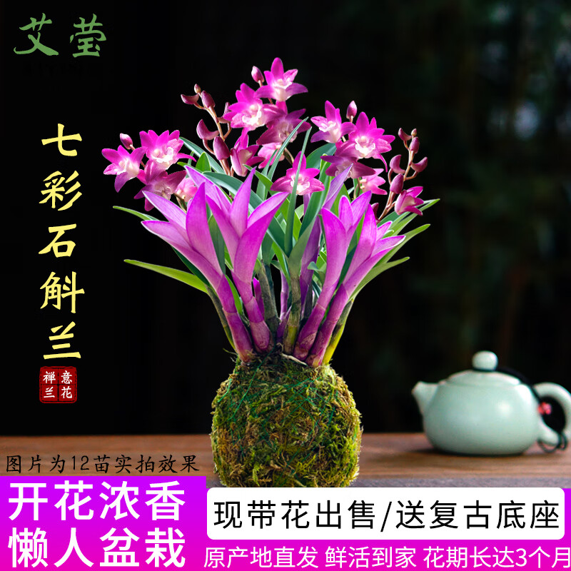 ��Ө�������߲���ˮʯ�������ļ�������ֲŨ����ʯ���������������� 3���߲�ʯ�� ûҶ�� ������