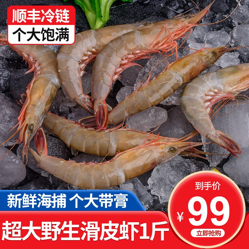 九号港 东海新鲜海捕滑皮虾 新鲜海鲜水产剑虾呛虾条虾 生鲜虾类 1斤（30-40只/斤）