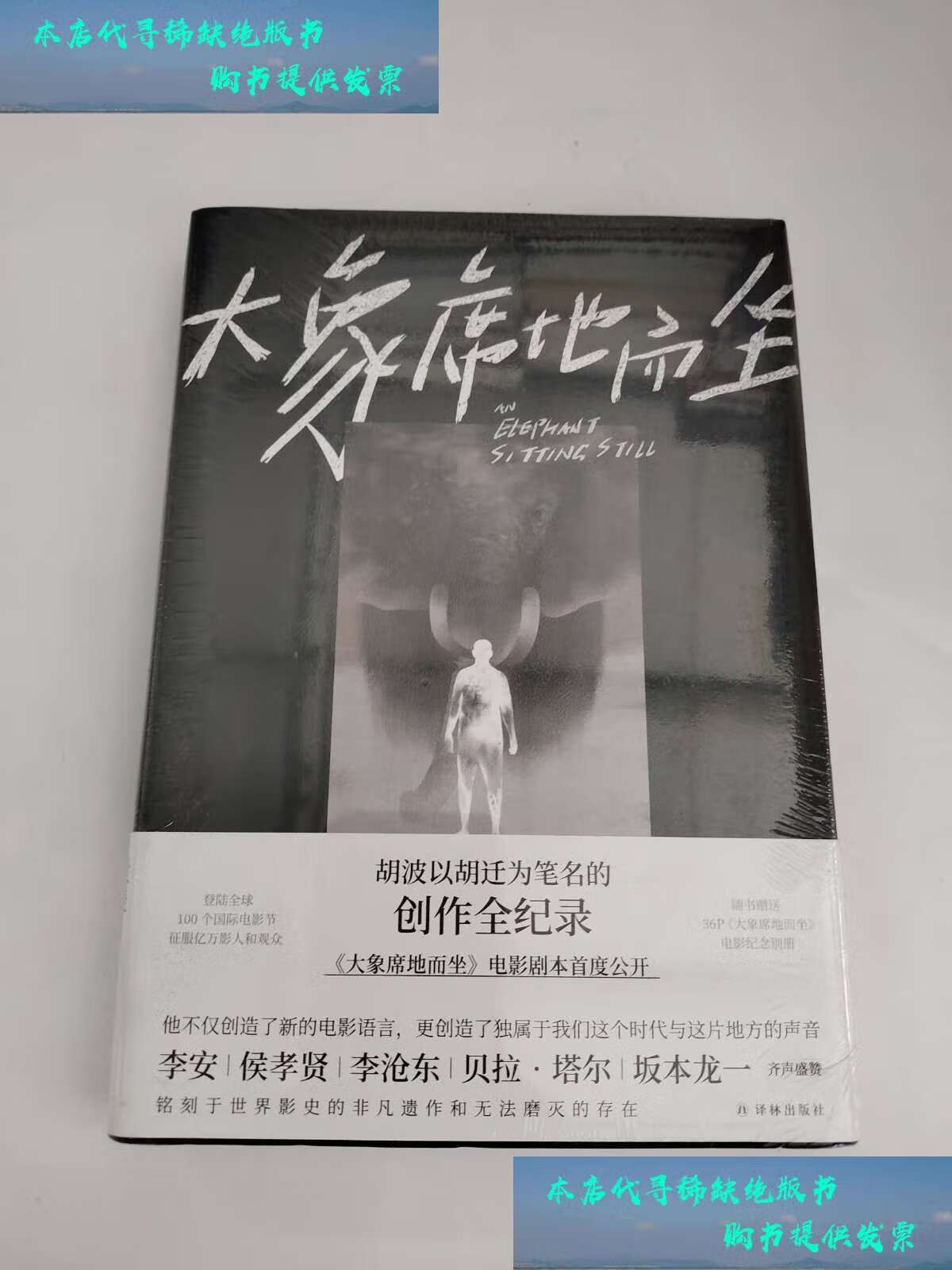 【二手书9成新】胡迁作品:大象席地而坐 /胡迁 译林