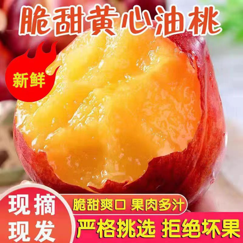 华北强（HUABEIQIANG）山西脆甜黄心油桃新鲜当季水果