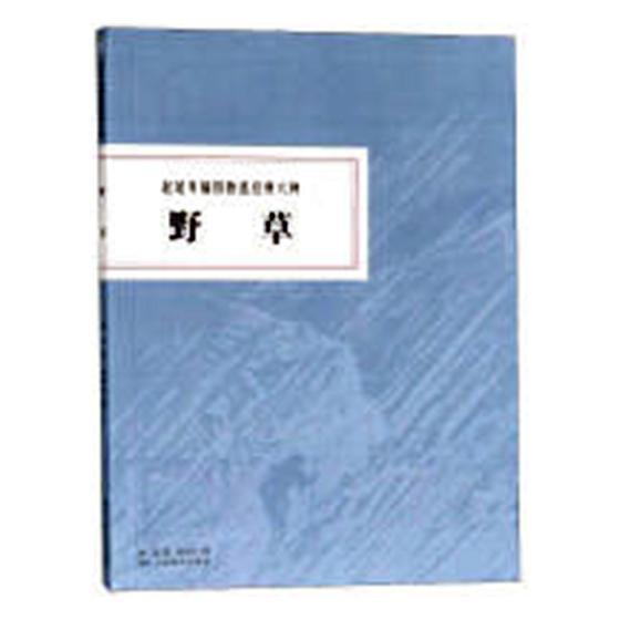 赵延年插图鲁迅经典六种:野草鲁迅浙江人民社9787534069901 文学书籍