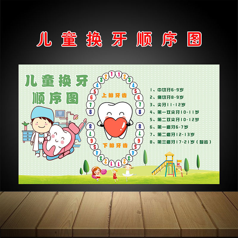 牙科诊所挂图儿童换牙顺序图贴画牙科宣传海报爱牙日墙贴挂图 ky-1 40