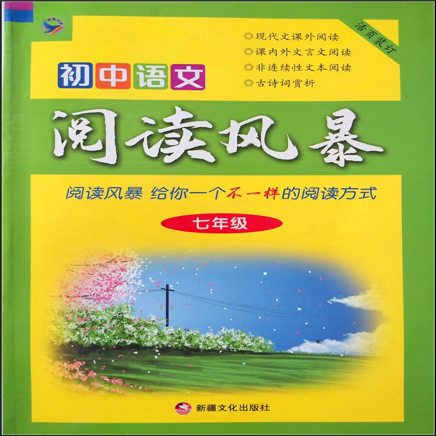 2021版初中语文阅读风暴789年级语文课外阅读初一初二初三适用 7年级语文阅读