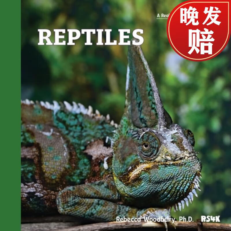 【4周达】reptiles