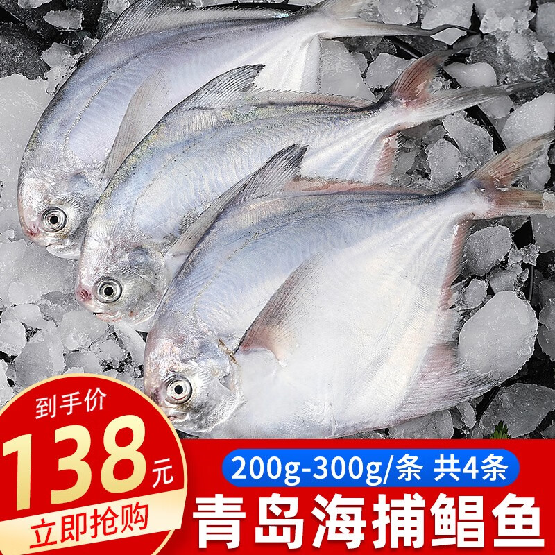 海宏盈 青岛鲳鱼1000g  银鲳鱼平鱼海鱼青岛海鲜国产鱼类生鲜 2斤装4