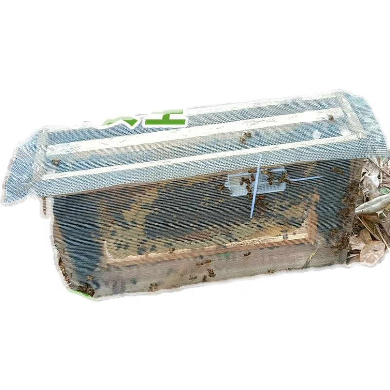 日锵中蜂蜂群带王蜜蜂活体养殖带子脾阿坝中蜂带蜂箱中华土蜂出售笼蜂 9500工蜂无王