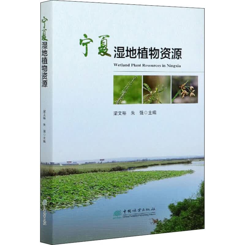 宁夏湿地植物资源
