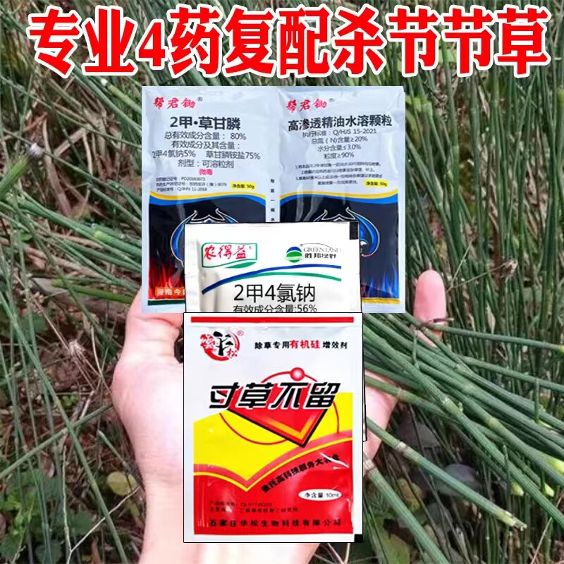 倍打专杀节节草农药笔管草专用药除草剂二甲草甘膦果园死草烂根 100g