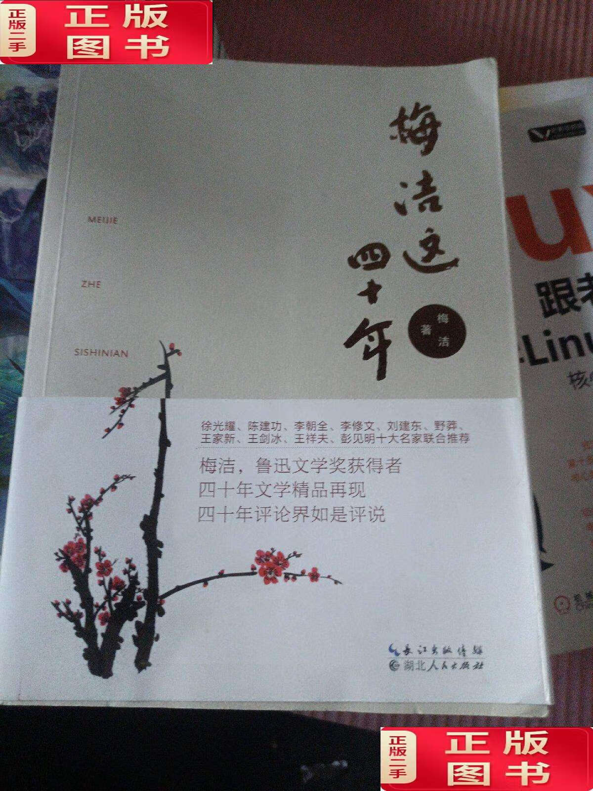 【二手9成新】梅洁这四十年 /梅洁 湖北人民