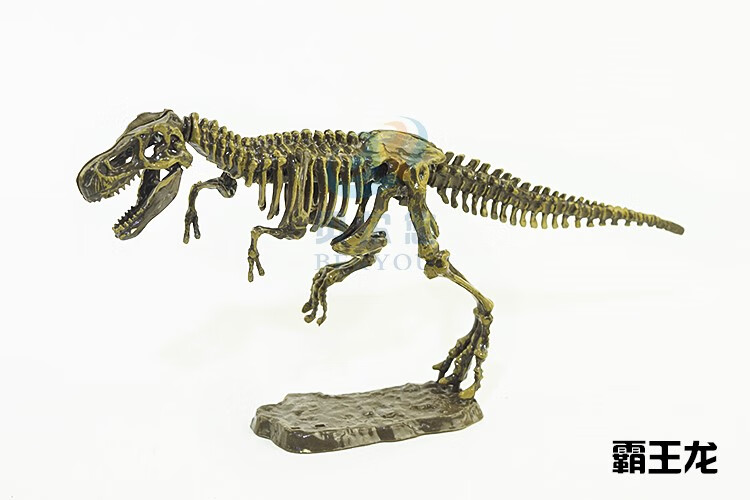 妙普乐考古仿真恐龙骨架化石模型拼装动物玩具霸王龙翼龙剑龙恐龙蛋