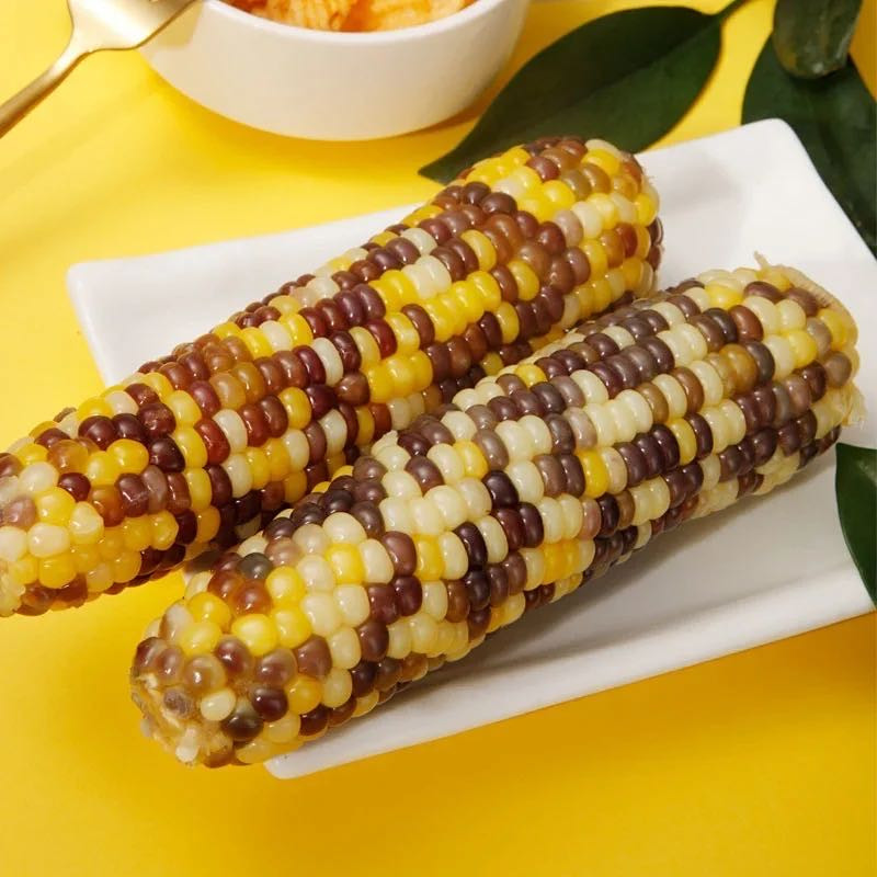 蔬品荟 汉南彩糯玉米非转基因水果甜玉米代餐营养粗粮开袋即食玉米 彩