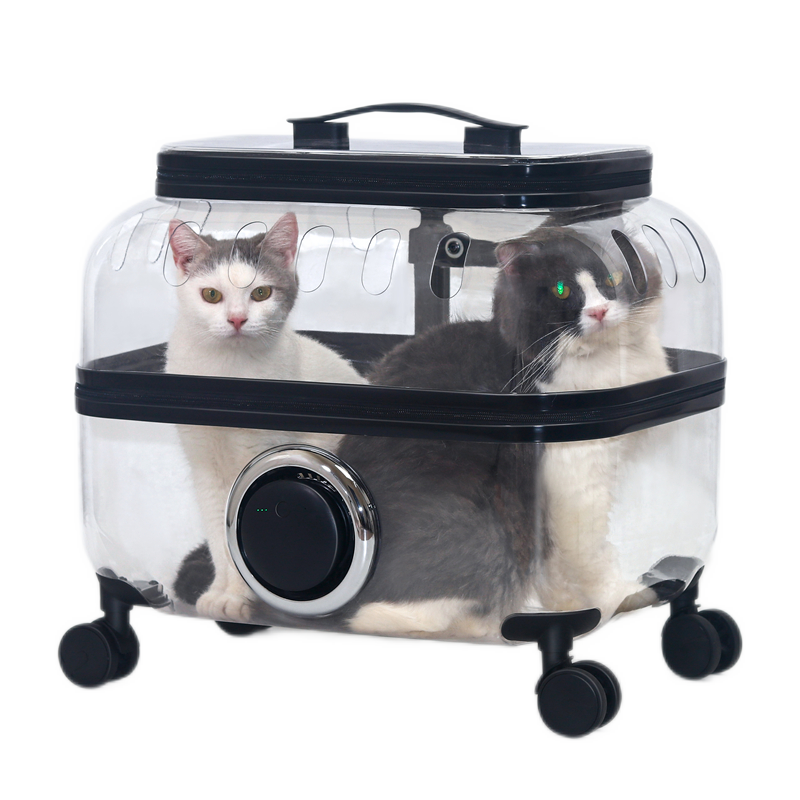 ����ʹè�������Я����������è��̫�ղճ����Ƴ�����͸��������è��� k35͸��������-è25�ﹷ15�� 398Ԫ