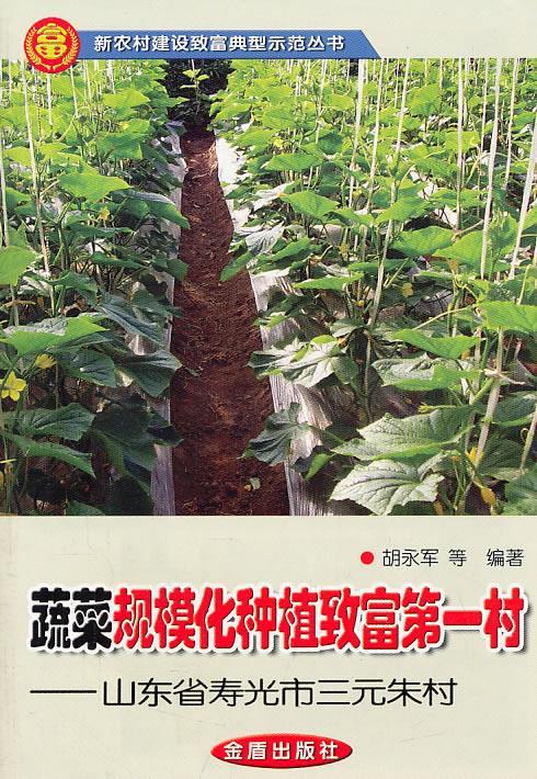 蔬菜规模化种植致富村-山东省寿光市三元朱村