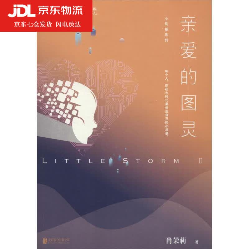 小风暴 2 亲爱的图灵 肖茉莉 9787559628138